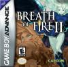 Breath of Fire II Box Art Front